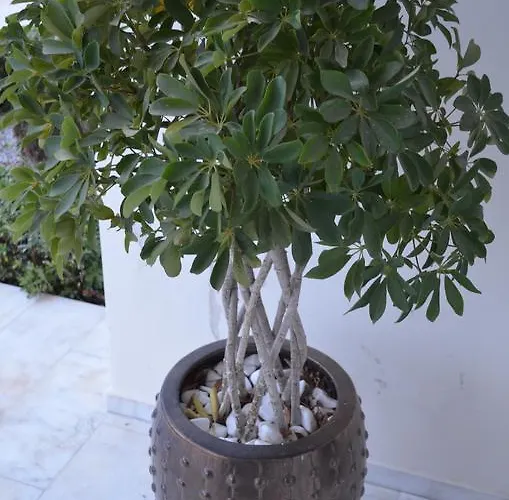 Hotel apartamentowy Memories Kremastí