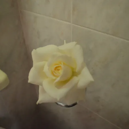 Memories Aparthotel 2*